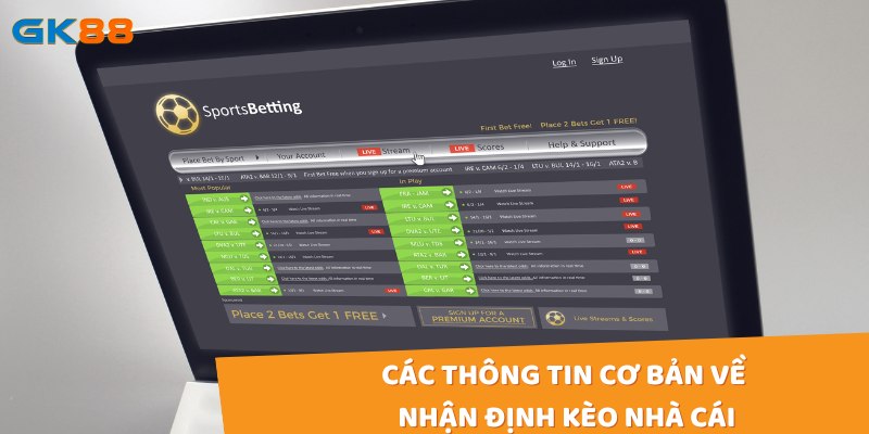 Tìm hiểu các thông tin cơ bản về nhận định kèo nhà cái