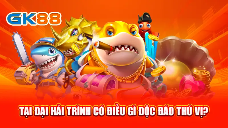 3-tai-dai-hai-trinh-co-dieu-gi-doc-dao-thu-vi-