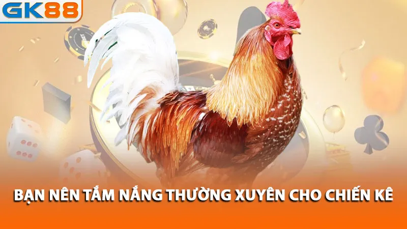 ban-nen-tam-nang-thuong-xuyen-cho-chien-ke_11zon