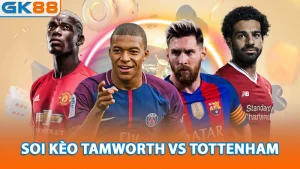 soi-keo-tamworth-vs-tottenham