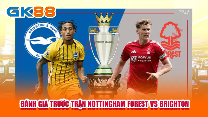 danh-gia-truoc-tran-nottingham-forest-vs-brighton copy